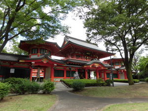 chiba