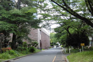 chiba
