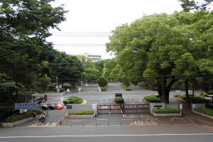 chiba