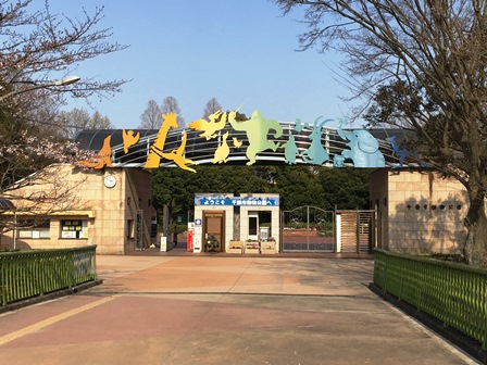 ○○○公園写真